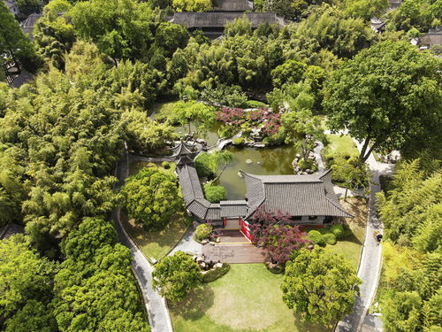 活化古典園林，賦能‘最江南’——探訪江蘇省文化和旅游重點實驗室園林