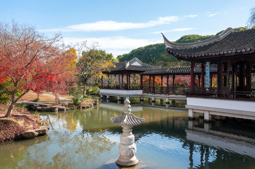 蘇州虎丘山秘境 被時(shí)光遺忘的幽靜古典園林