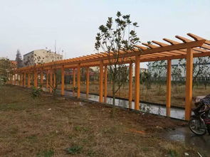 武威園林景觀產(chǎn)品推薦——甘肅高質(zhì)量仿木葡萄架供應(yīng)