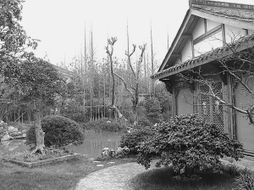 方寸苗圃，匠心筑夢(mèng) 在有限空間里打造精品園林的藝術(shù)