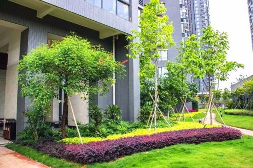 匠心筑境 詩意棲居——中國(guó)風(fēng)景園林學(xué)會(huì)“優(yōu)秀園林工程”精品項(xiàng)目回顧